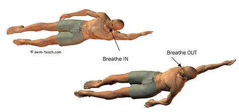Basic Backstroke Swimming Techniqueexplained In Simple Stages
