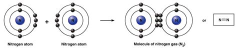 The nitrogen end of the bond has become positive because the electron pair has moved away from the nitrogen towards notice that each water molecule can potentially form four hydrogen bonds with surrounding water molecules. Intro to Anatomy 2: Life, The World's Biggest Chemistry ...