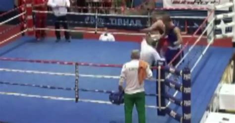 Watch Shocking Footage Of Referee Getting Knocked Out By Boxer