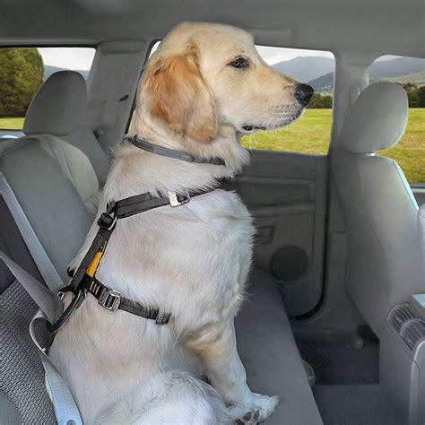 Slowton dog car harness plus connector strap, multifunction adjustable vest harness double breathable mesh fabric with car vehicle safety seat belt.(red vastar 2 packs adjustable pet dog cat car seat belt safety leads vehicle seatbelt harness, made from nylon fabric. 5 Best Car Harnesses (and Seat Belts) for Dogs in 2020 ...