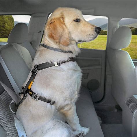 A good dog car harness should limit head excursion so that your dog's head is unable to collide with the back of the seat in front of them in the. 5 Best Car Harnesses (and Seat Belts) for Dogs in 2020 ...