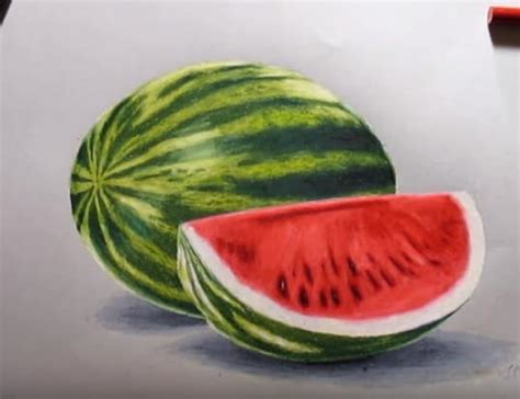 The team of easydrawingart.com thinks that even the most novice artist who has read our article about drawing this … How to draw a watermelon easy step by step | Fruit drawing