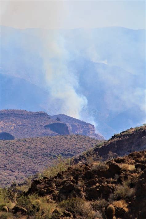 Wildfire Human Caused Bush Fire June 13 2020 Tonto National Forest