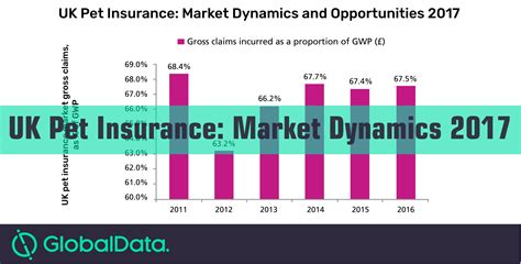 Products and service portfolio of zurich insurance group exhibit 28: The pet insurance market broke the £1bn mark in gross written premiums for the first time in ...