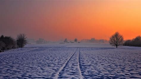 Winter Meadow Wallpapers Wallpaper Cave