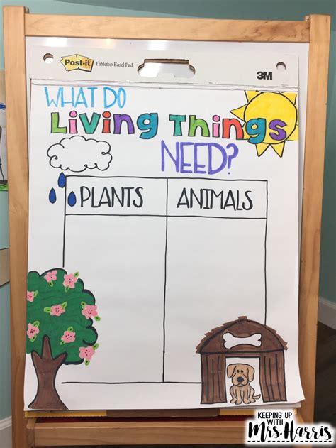 Living Things Anchor Chart Keeping Up With Mrs Harris
