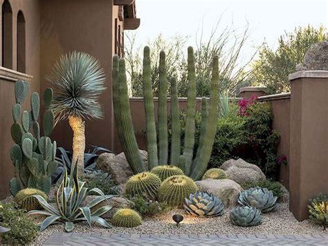 36 Beautiful Cactus Landscaping Ideas For Your Front Yards Decor Magzhouse