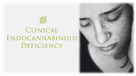 clinical endocannabinoid deficiency society of cannabis clinicians