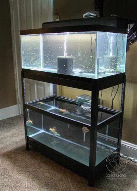 50 Diy Best Aquarium Stands With Plans In 2019 Fish Tank Stand