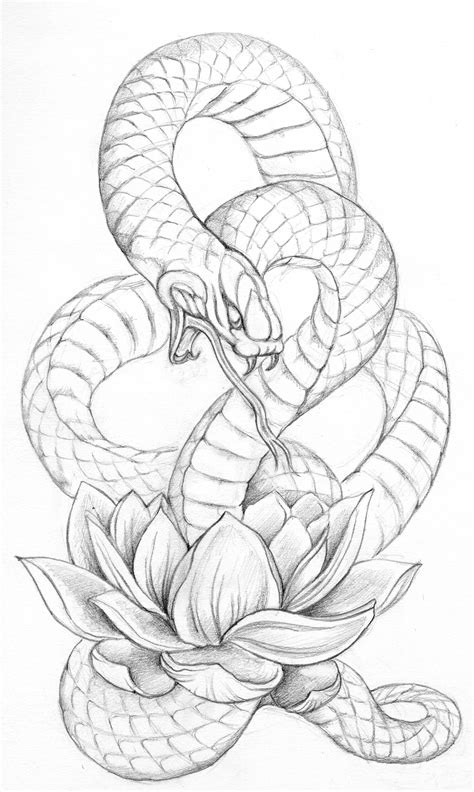 Here you can check terms of use of pictures and drawings from this website. Rattle Snake Drawing at GetDrawings | Free download