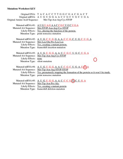 Dna mutation activity answer key. 30 Chapter 11 Dna And Genes Worksheet Answers - Free ...