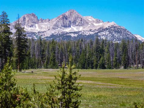 We did not find results for: New Foothills Visitor Center Sequoia National Park ...