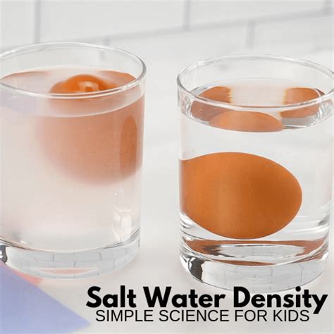 Salt Water Density Experiment For Kids Density Experiment Water