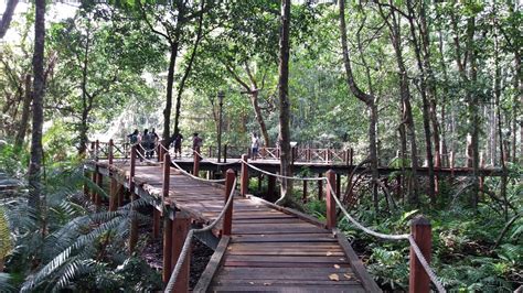 Dua orang langsung maju menyergap arum. Mohd Faiz bin Abdul Manan: Hutan Paya Laut Matang