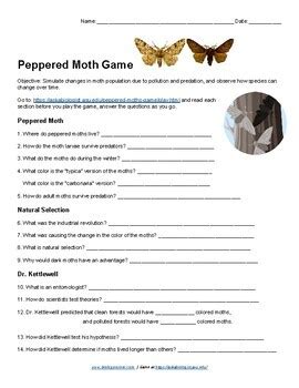 Stuck on a tricky anthropology question? Dna Mutation Simulation Answer Key Biology Corner : Https ...