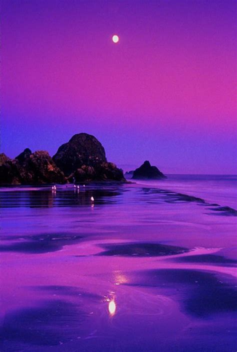 Purple Moonlight ~purplesceneryart~ Pinterest Moonlight