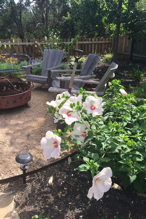 Points of interest ● garden path resin strip edging ● variety of perennial foliage in flat bed ● raised bed with points of interest ● pea gravel walkway with brick garden edging ● wooden bench with white. Gravel patio with steel edging, fire pit and hibiscus ...