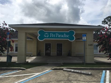 St Augustine Pet Boarding | Pet Paradise