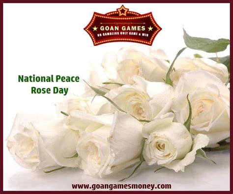 National Peace Rose Day Goan Games Visit Us Goangamesmoney