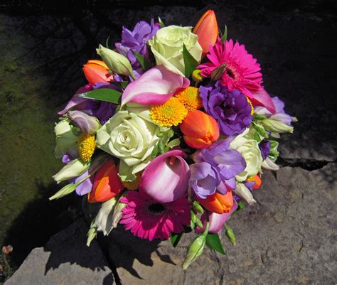 We did not find results for: flowers for spring purple wedding - Google Search | Prom ...