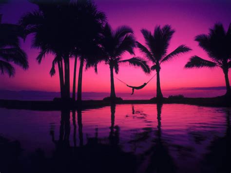 1920x1080 1920x1080 Relaxation Relaxing Beach Palm Trees Sunlight Sun Hammocks Wallpaper 