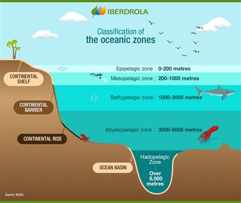 Abyssal Creatures Iberdrola