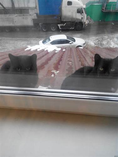 Жесткая диета на 5 дня А это уже жесткая послепраздничная диета | Пикабу А это уже жесткая послепраздничная диета | Пикабу Жесткая диета на 5 дня