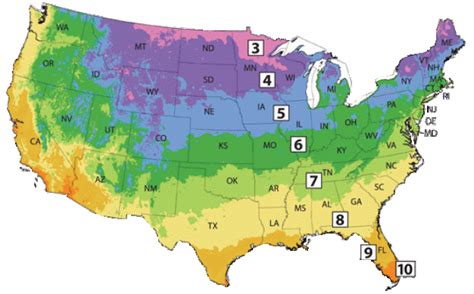 Colorado state usda growing zones can be figured out by looking at the colorado usda zone map for plant hardiness and reading this table below. Planting Zones and Seasonal Gardening Guide | GARDENS NURSERY