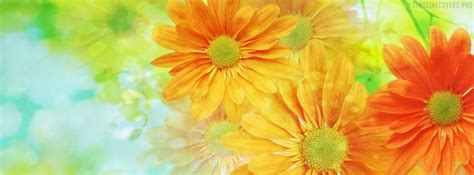 Colorful Flowers Facebook Cover Photo