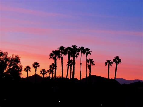 Sunset Palm Desert | Sunset, Palm desert, Outdoor
