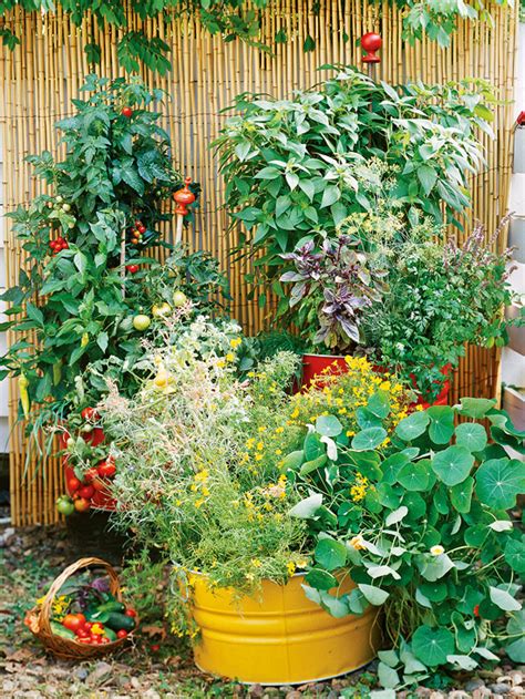 I am sure it will change as i progress but this is an. How to Make a Small Vegetable Garden | Home Designs Project
