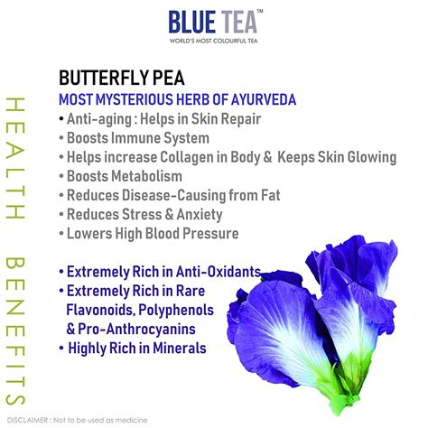 17 Incredible Blue Butterfly Pea Flower Tea Health Benefits Teafame