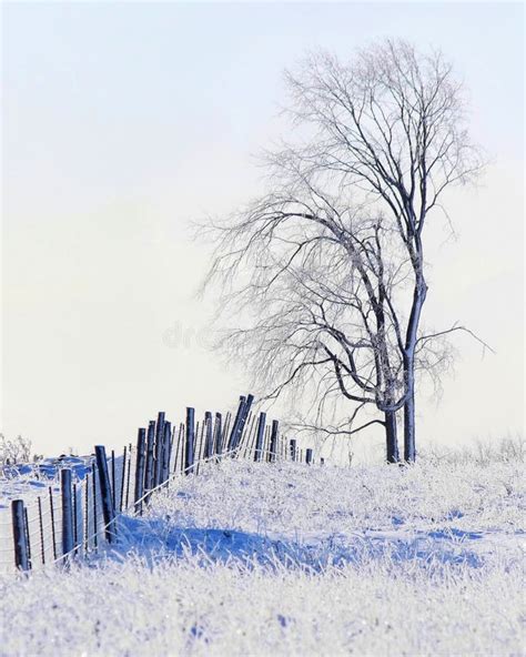 Frosty Winters Morn Stock Image Image Of Artistic Scene 152620417