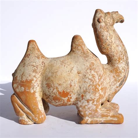 * white male bactrian with brown mother and white father born 3/16/13 * white bottle fed male bactrian with white mother and white father born 4/14/13 for further information visit website at: Tang Dynasty Bactrian Camel Sculpture For Sale at 1stdibs