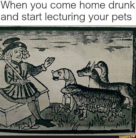 When You Come Home Drunk And Start Lecturing Your Pets Rn Ifunny