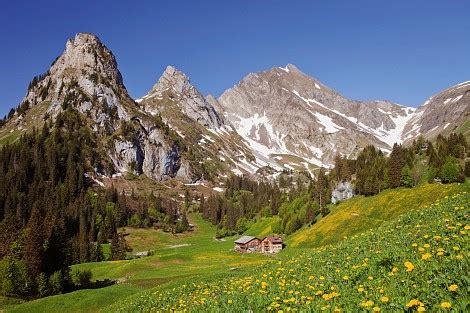 Tapete berglandschaft einfach anzubringen 365 tage rückgaberecht suchen sie nach anderen mustern aus dieser kollektionen! Tapete Berglandschaft - Bilder finden, die zum begriff ...