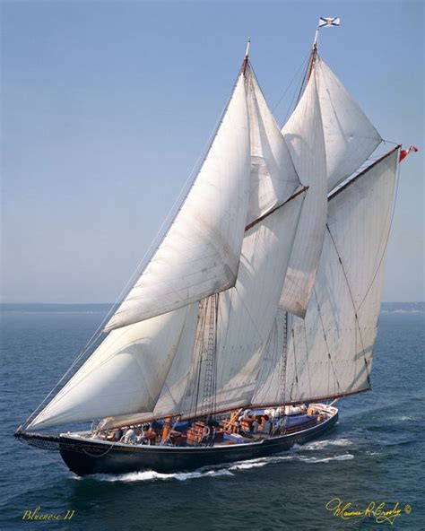 Bluenose Ii Sailing Bluenose Schooner Sailing Yacht