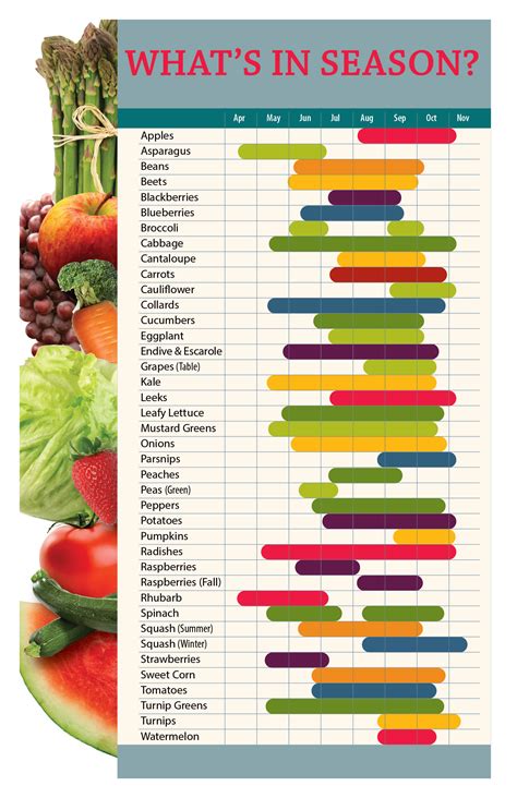 Fruits And Vegetables Season Chart
