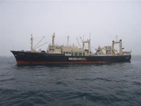 Does New ‘mother Ship Portend Increased Whaling By Japan