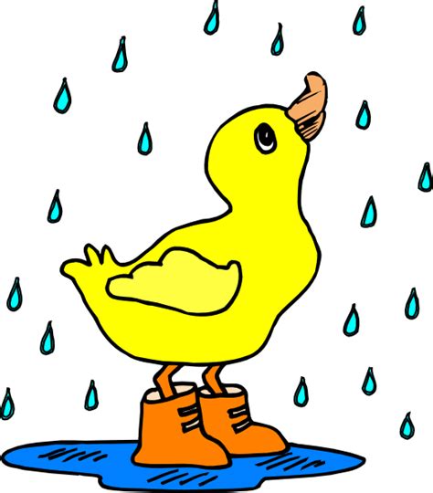 Duck In The Rain Clip Art At Vector Clip Art