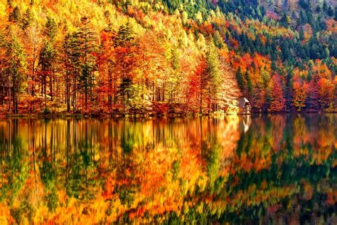 Fall Full Hd Wallpaper And Background Image 2000x1333 Id569804