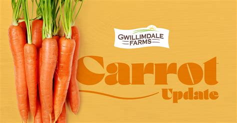 Gwillimdale Farms Quinton Woods Updates Retailers On Canadian Carrots