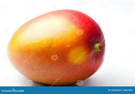 Single Mango Fresh Juicy Ripe Tropical Fruit Stock Image Image Of