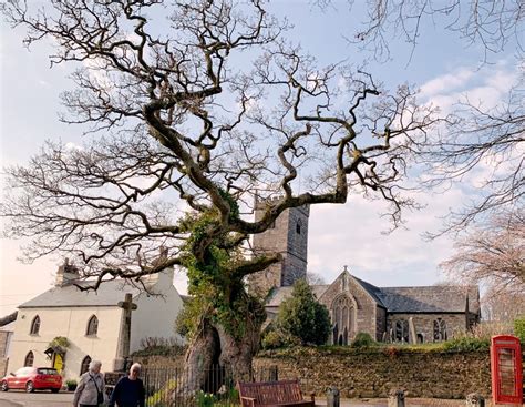 10 Beautiful Dartmoor Towns And Villages You Must Visit