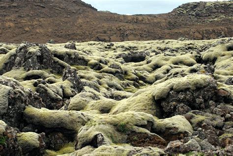 Lava Field Solid Lava With Mosses Bruno Kestemont Flickr