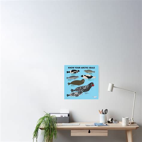 Know Your Arctic Seals Poster For Sale By Pepomintnarwhal Redbubble