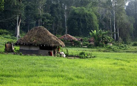 Visit To The Tribal Village Of Wayanad Travel Toons Holiday Services