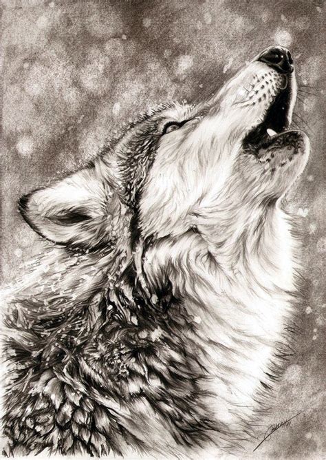 55% off, free s & h! 40 Realistic Animal Pencil Drawings