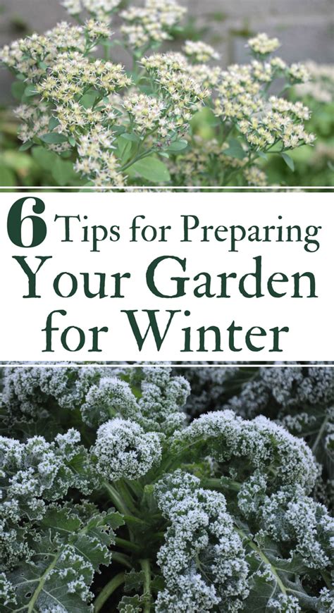 6 Tips To Prepare Your Garden For Winter Winterizing Your Garden Will