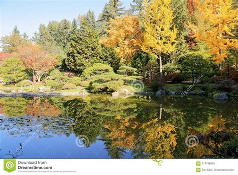 Full Of Beautiful Fall Colors At Japanese Garden Seattle Washington